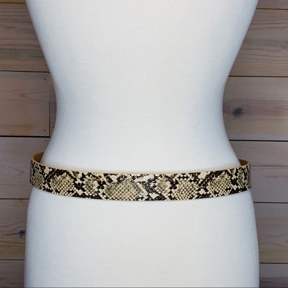 Trendy Faux Snakeskin Belt with Two Gold Circles - Picture 5 of 7